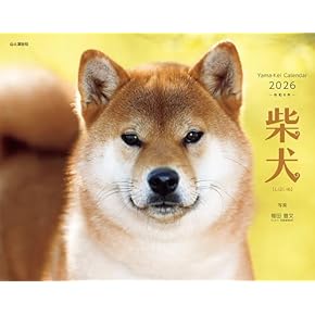 パピークラス&こねこ塾　スタートBOOK 【シュリンク付き】動物 パピークラス&こねこ塾スタートBOOK | 村田 香織 |本 | 通販